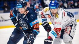 hokej kladno11 photo k7p4j8iyie veq59mve8k ir8v9tjg5s